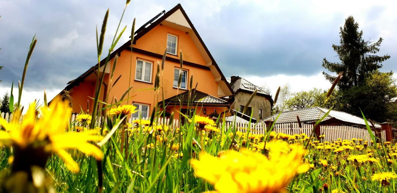 Dom Goscinny Orange Wysowa-Zdrój Exteriér fotografie
